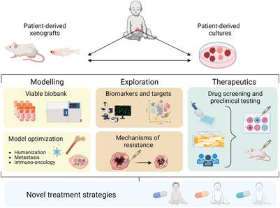 Patient-derived models: Advanced tools for precision medicine in neuroblastoma